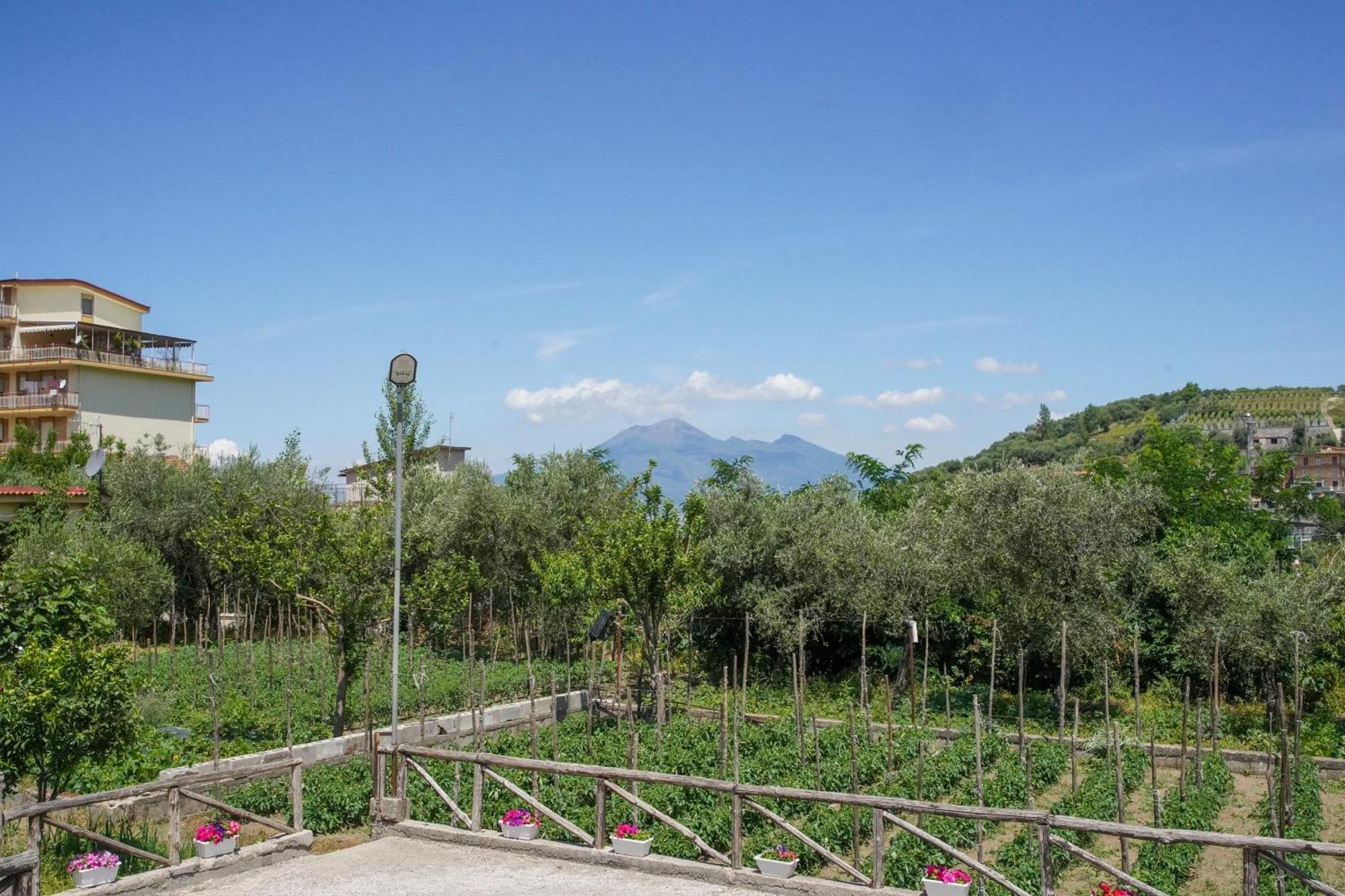 Casa Fiorita 3*